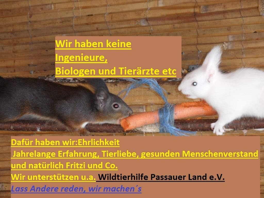 Komplett zusammengebautes, massives, stabiles Eichhörnchen Futterhaus Futterstation Made in Germany