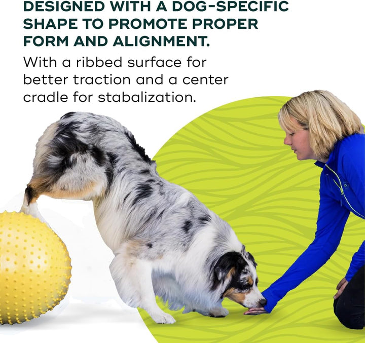FitPAWS traxpeanut Zubehör Education für Hunde 40 cm 40cm, 40cm