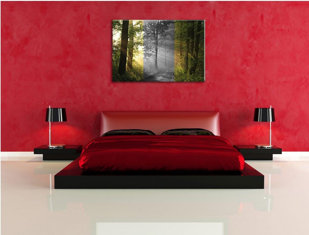 Ruhiger Waldweg im Grünen schwarz/weiss Format: 100x70 auf Leinwand, XXL riesige Bilder fertig gerah
