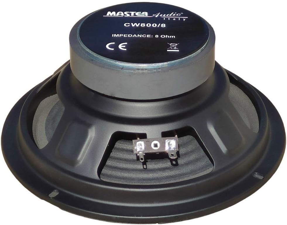 VOM GESCHÄFT LA MAISON CHIC 2011: LAUTSPRECHER NIEDRIGE MITTE WOOFER DIFFUSER MASTER AUDIO CW800/8 C