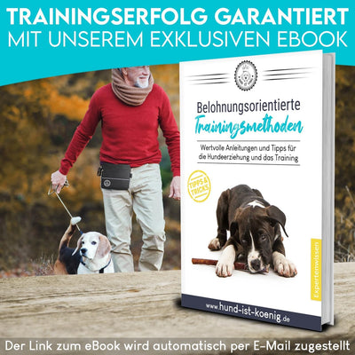 HUND IST KÖNIG® Leckerlietasche für Hunde mit Einhand-Magnet-Verschluss, 2 Zip-Fächer, herausnehmbar