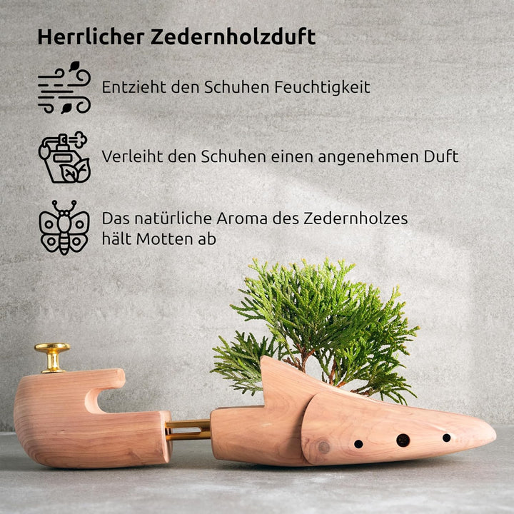 Langer & Messmer Schuhspanner aus Zedernholz für Herren und Damen inkl. Reiseschuhlöffel aus Zedernh