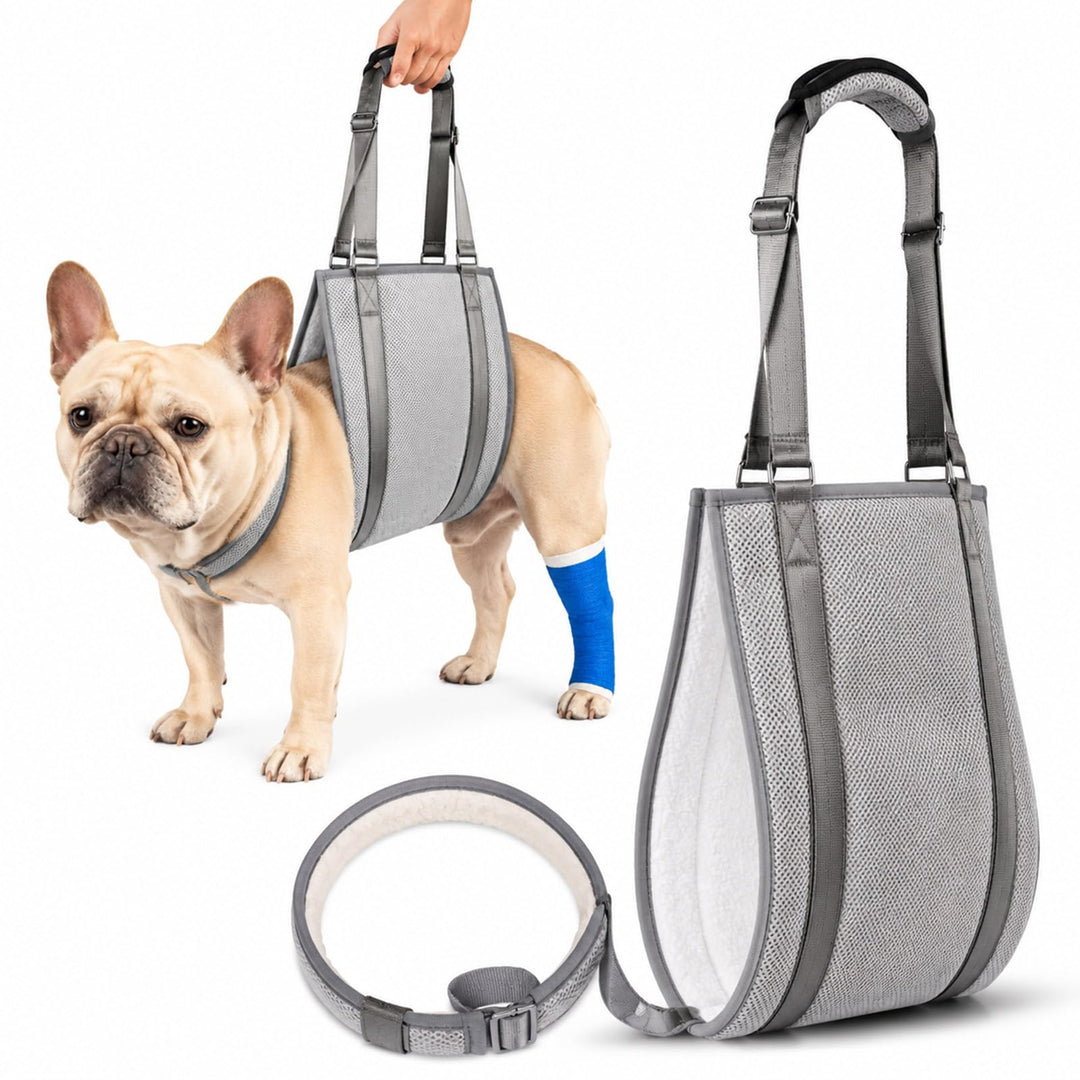 LUCKY LUCY Hundegeschirr mit Griff, Verstellbare Hunde-Tragehilfe für Hinterbeine &amp; Nacken-Stütze, M