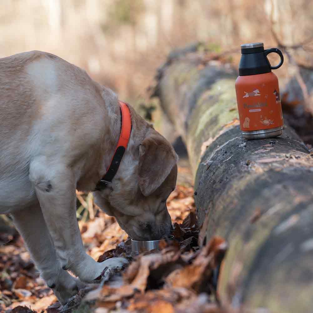 Pawbottle® Thermoflasche mit 2 Näpfen – Trinkflasche für Hunde &amp; Katzen (960 ml + 2×100 ml, Orange)