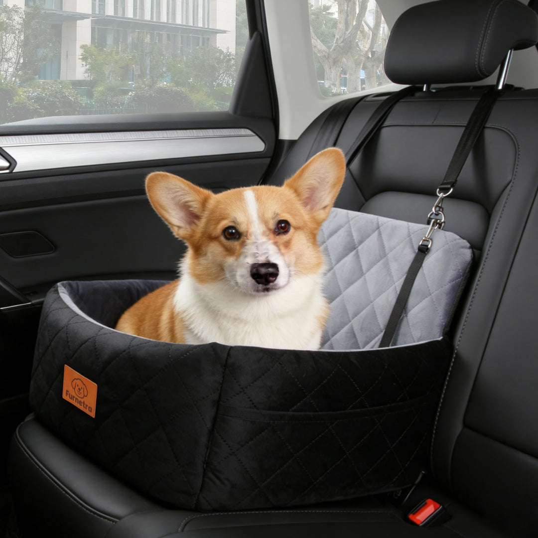 Hunde Autositz für Kleine Hunde, Memory-Schaum Gepolstert, Faltbar & Wasserdicht, für Kleine Hunde b