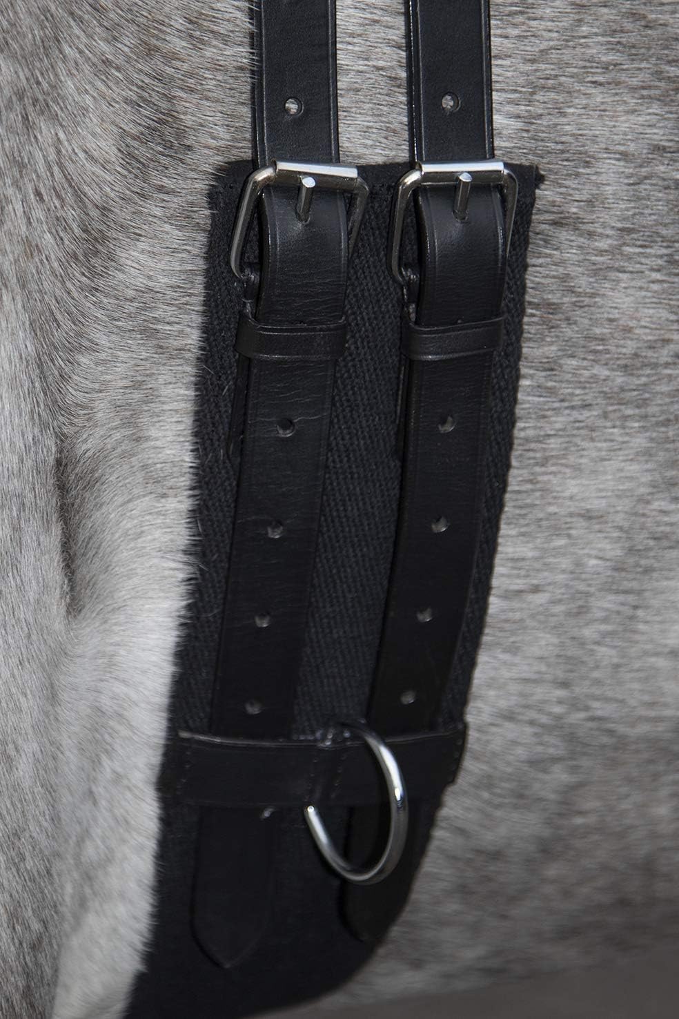 HKM Longiergurt Canvas mit Doppelgriff (Pony, schwarz) Schwarz Pony, Schwarz Pony