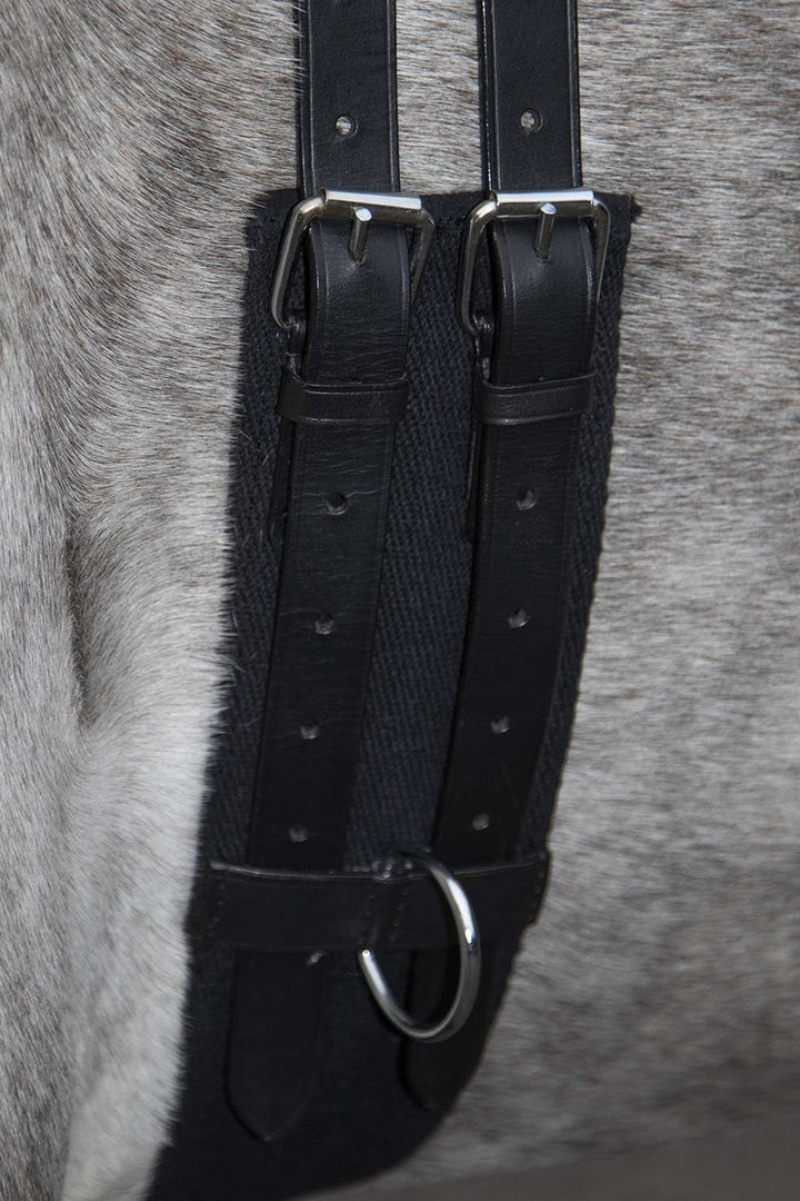 HKM Longiergurt Canvas mit Doppelgriff (Pony, schwarz) Schwarz Pony, Schwarz Pony