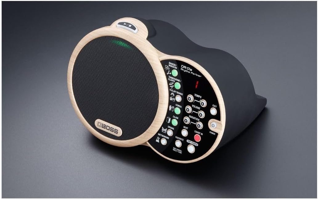 Boss DR-01S Rhythm Partner, DR-01S