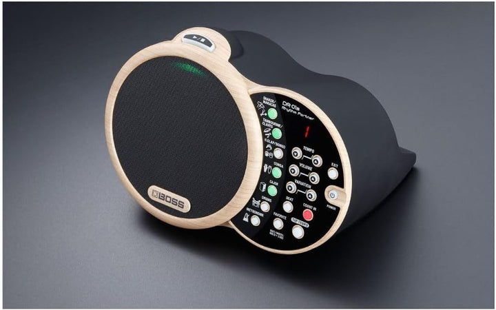Boss DR-01S Rhythm Partner, DR-01S