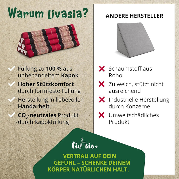 livasia Rückenstützkissen breit für Paare, Dreieckskissen für Garten und Balkon, Keilkissen mit Kapo