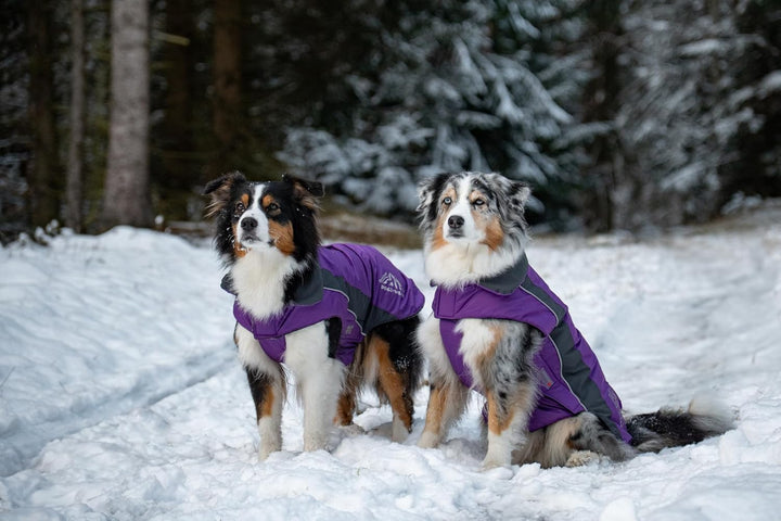 Wolters Wolters Skijacke Dogz-Wear | Wintermantel für Hunde | Farbe Lila-Grau | Grösse 36 (Rückenlän