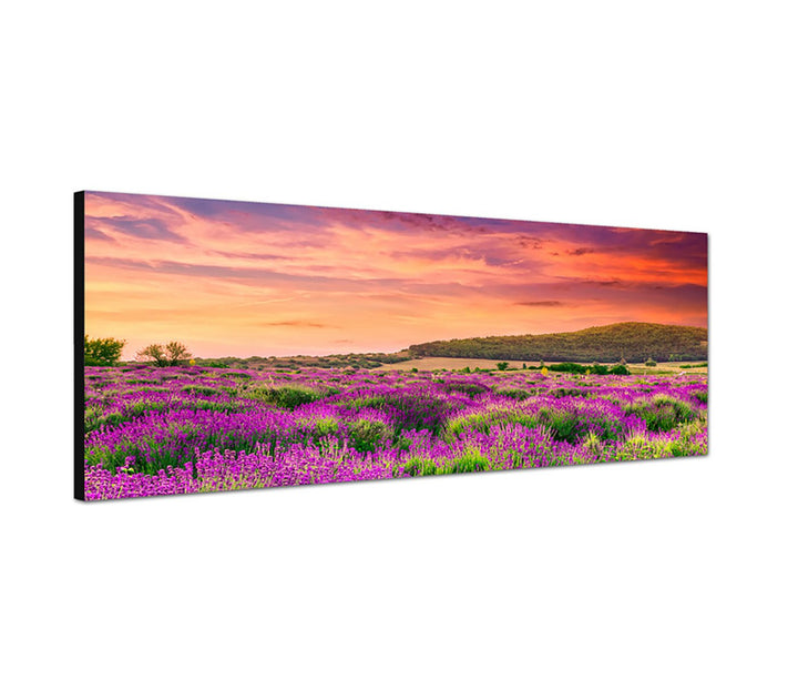 Augenblicke Wandbilder Leinwandbild als Panorama in 150x50cm Lavendelfeld Sommer Sonnenuntergang