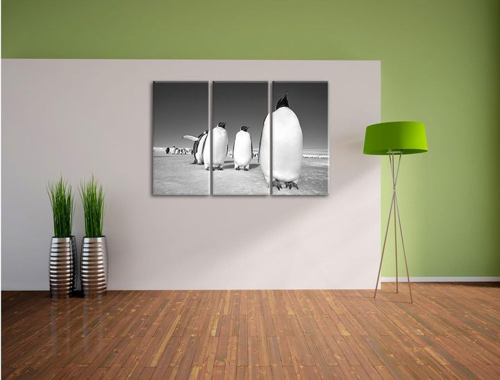 Pixxprint Kaiserpiguine in Antarktis als Leinwandbild/Grösse: 3 Teilig (120x80) cm/Wandbild/Kunstdru