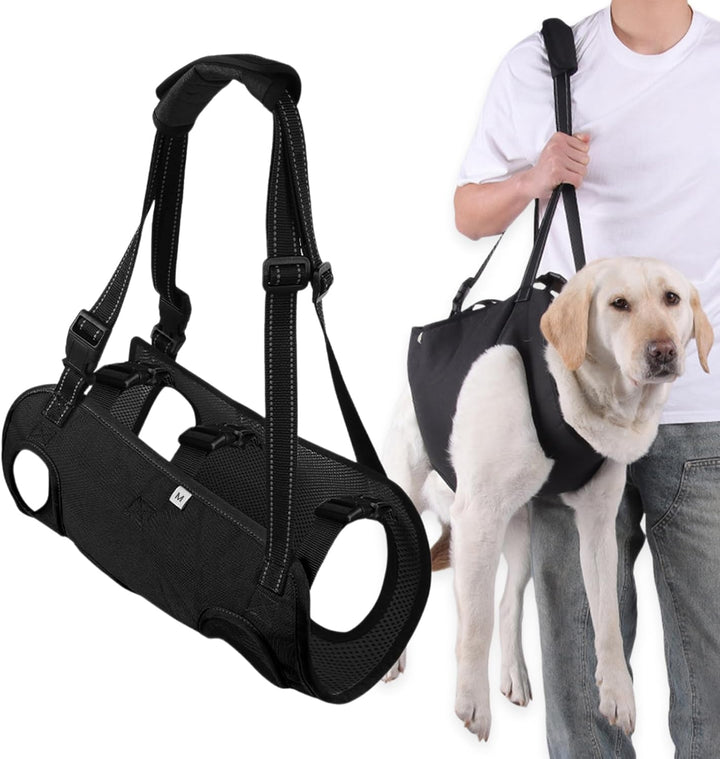 Hunde Tragehilfe, Tragehilfe Hund Treppe Verstellbare Gehhilfe für Hunde, Hundeliftgeschirr für Hint
