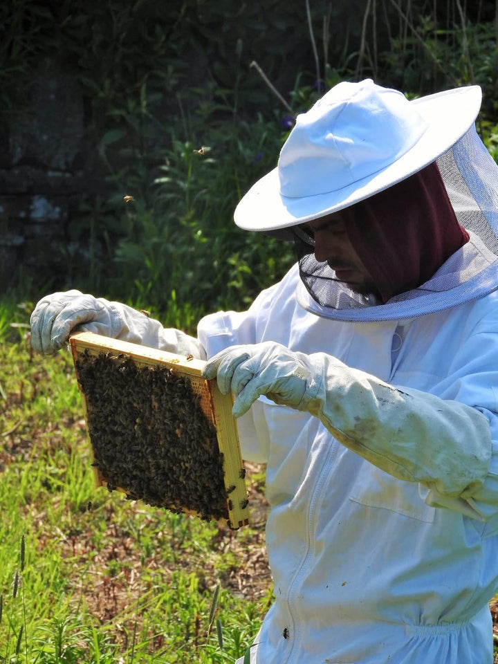 AMA-Feinkost 60 Stück Teelichter aus 100 Bienenwachs handgefertigt direkt vom Imker Sparpack Nachfül
