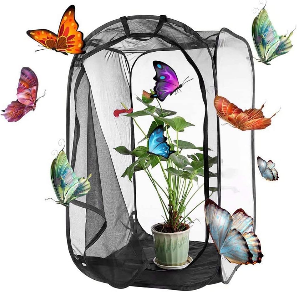 Schmetterlingskäfig, 61 x 61 x 89 cm, zusammenklappbares transparentes Haus mit Reissverschluss und