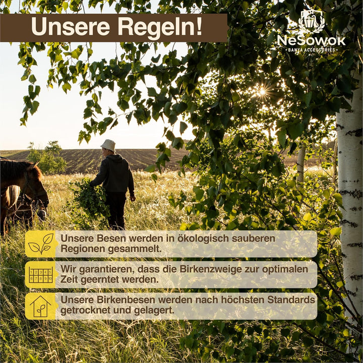 Birkenbesen Premium für Sauna & Banja – 100% Junge Birkenzweige – Naturduft für Aufguss – weich & fo