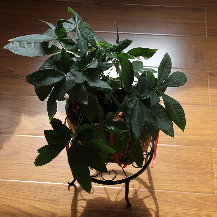 Blumenhocker Pflanzenständer,Retro-Design, Metall, rund, Schmiedeeisen, Blumentopfhalter Metall Blum