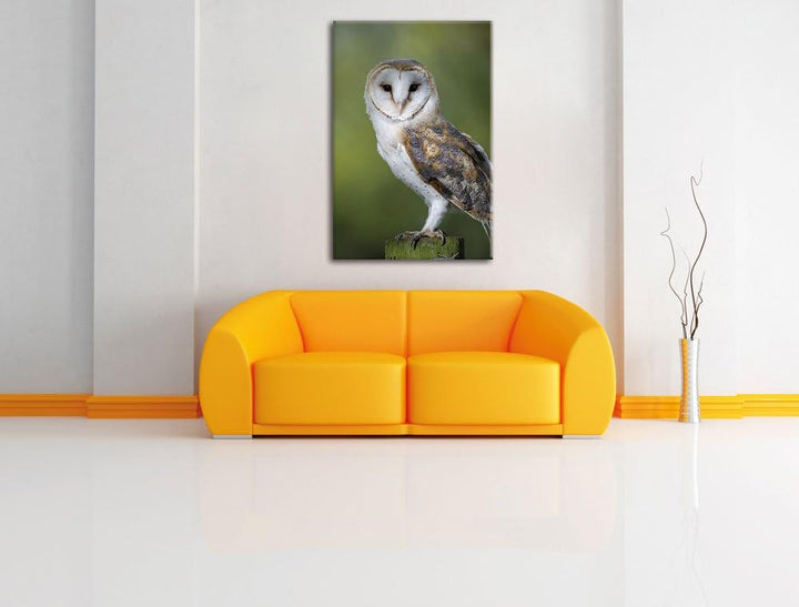 Pixxprint Eule, Format: 100x70 auf Leinwand, XXL riesige Bilder fertig gerahmt mit Keilrahmen, Kunst