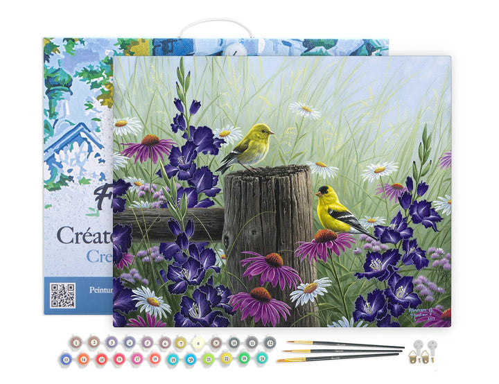 Figured'Art Malen Nach Zahlen Erwachsene Mit Rahmen Stieglitz Pärchen - Paint by Numbers Basteln DIY
