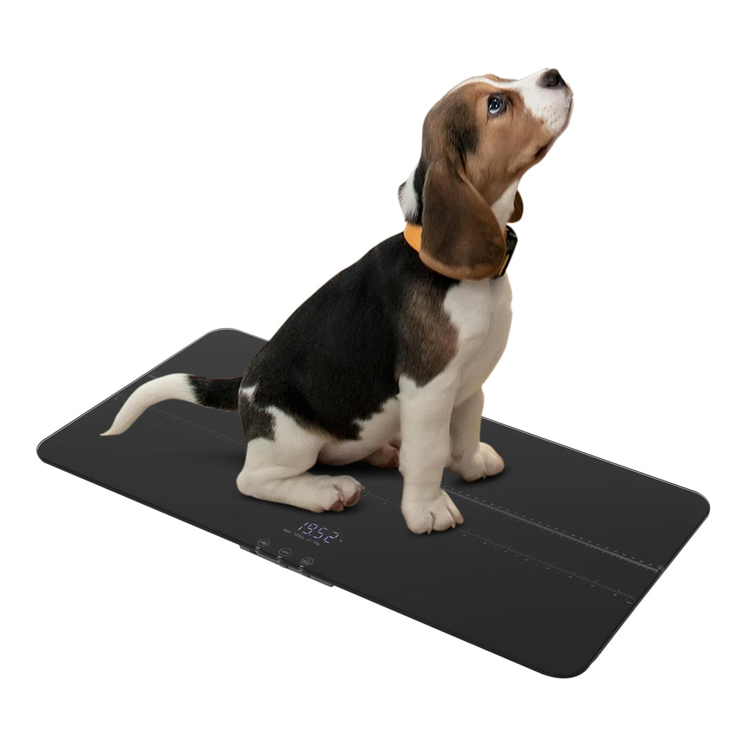 Tierwaage,Digitale Haustierwaage FüR Hunde Und Katzen,kleine Gewichtswaage Personenwaage,Max 100kg,3