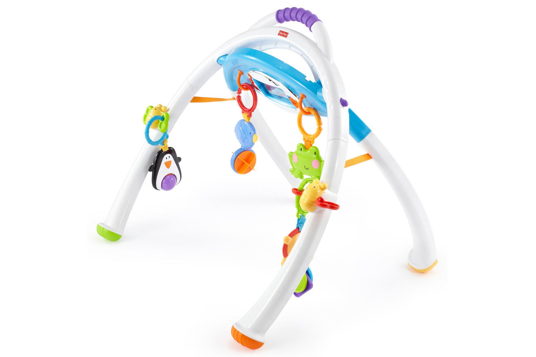 Fisher-Price Mattel Y4476 Apptivity Gym