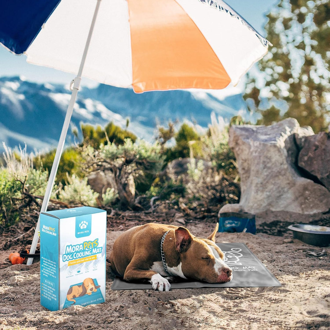 Pawtasy Kühlmatte für Hund, Kühldecke Hunde, Kühlkissen mit Ungiftiges Gel für Grosse Mittelgrosse H