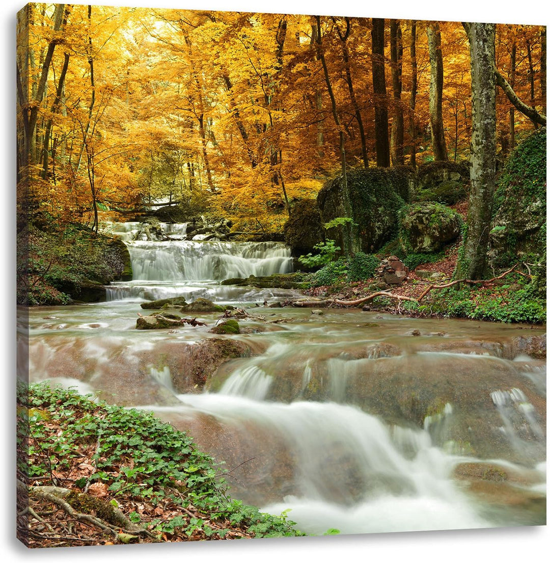 Waldbach im Herbst, Format: 70x70 auf Leinwand, XXL riesige Bilder fertig gerahmt mit Keilrahmen, Ku
