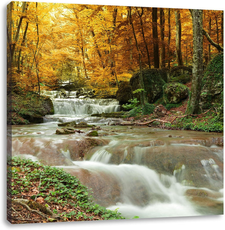 Waldbach im Herbst, Format: 70x70 auf Leinwand, XXL riesige Bilder fertig gerahmt mit Keilrahmen, Ku