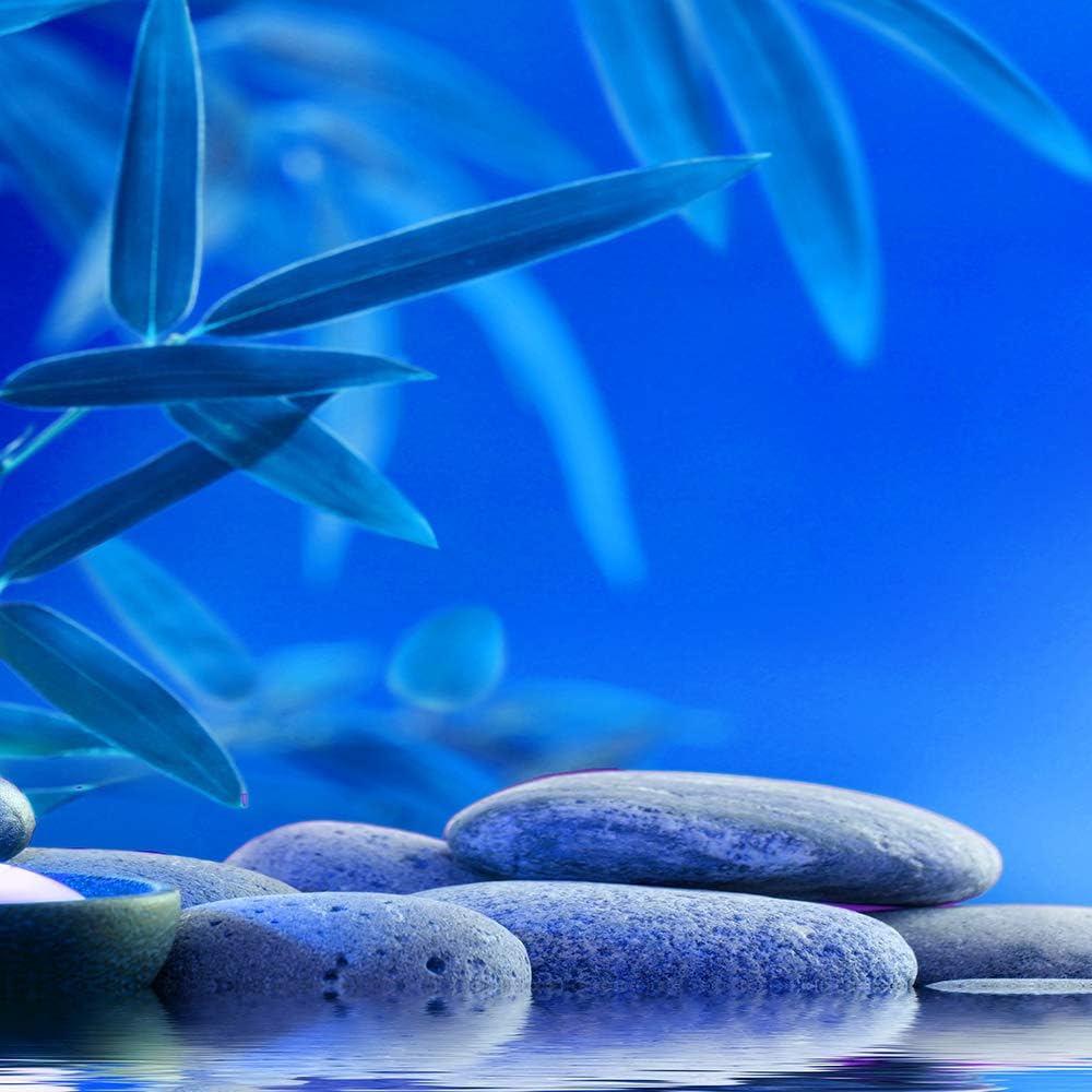 Feeby Leinwandbild Buddha 5 TLG Bild Kunstdruck Wasser Steine Blätter blau 100x70 cm Leinwandbild 10