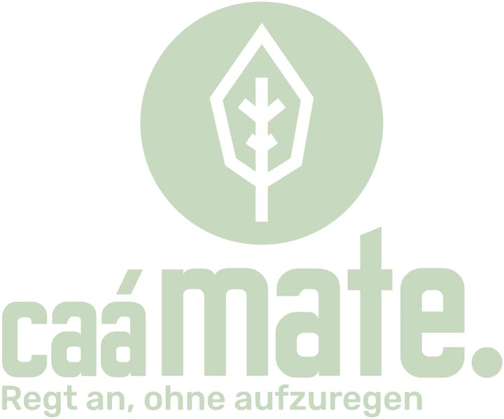 Mate Tee Set Bio ● 3 Matesorten + doppelwandiger Edelstahl Matebecher + Bombilla + Zubereitungsanlei