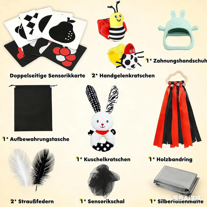 Kontrastkarten Baby - Montessori Baby Spielzeug 0-12 Monate, Greifring, Beissring und Aufbewahrungst