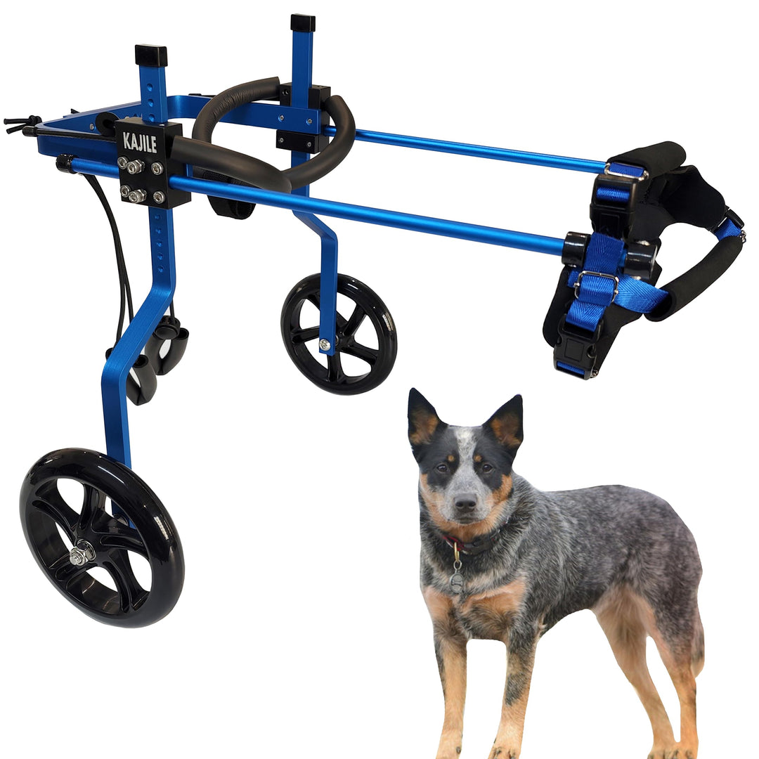 KAJILE Einstellbare 2 Räder Hunde-Rollstuhl, M-3 Grösse für behinderte Hund Hinterbeine Rehabilitati