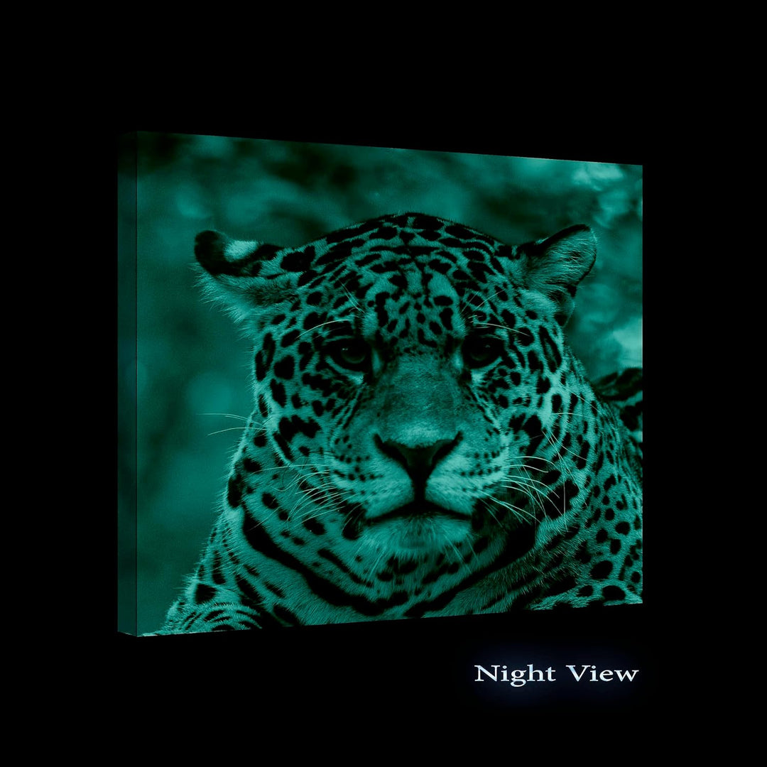 Startonight Bilder Jaguar, Leinwandbilder Moderne Kunst, Tiere Wanddeko Kunstdrucke, Wandbilder 80 x