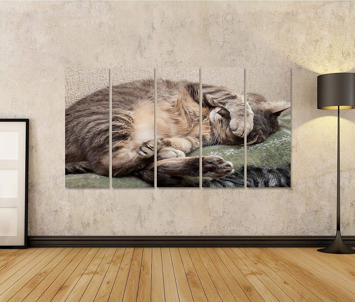 islandburner Bild auf Leinwand Schlafende Katze Bilder Wandbilder Poster 160L x 80B cm, 160L x 80B c