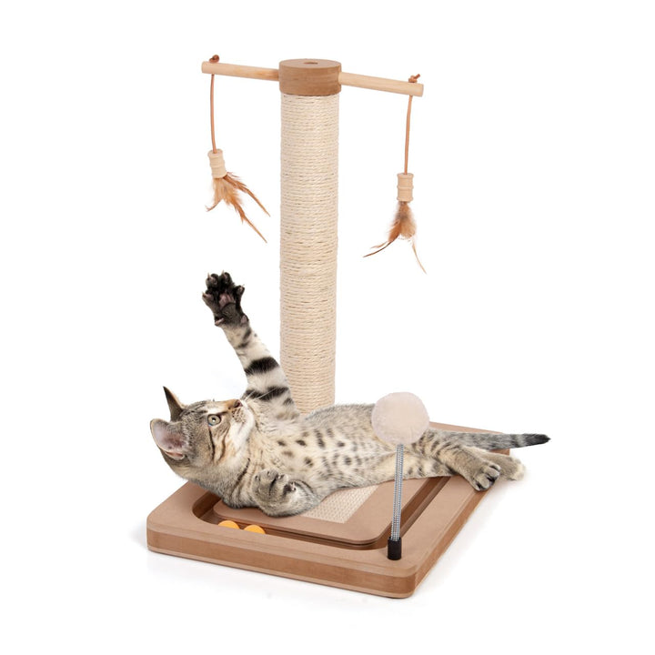 CanadianCat Company | Kratzstamm für Katzen - Playtop - Kratzteppich Katze | interaktives Katzenspie