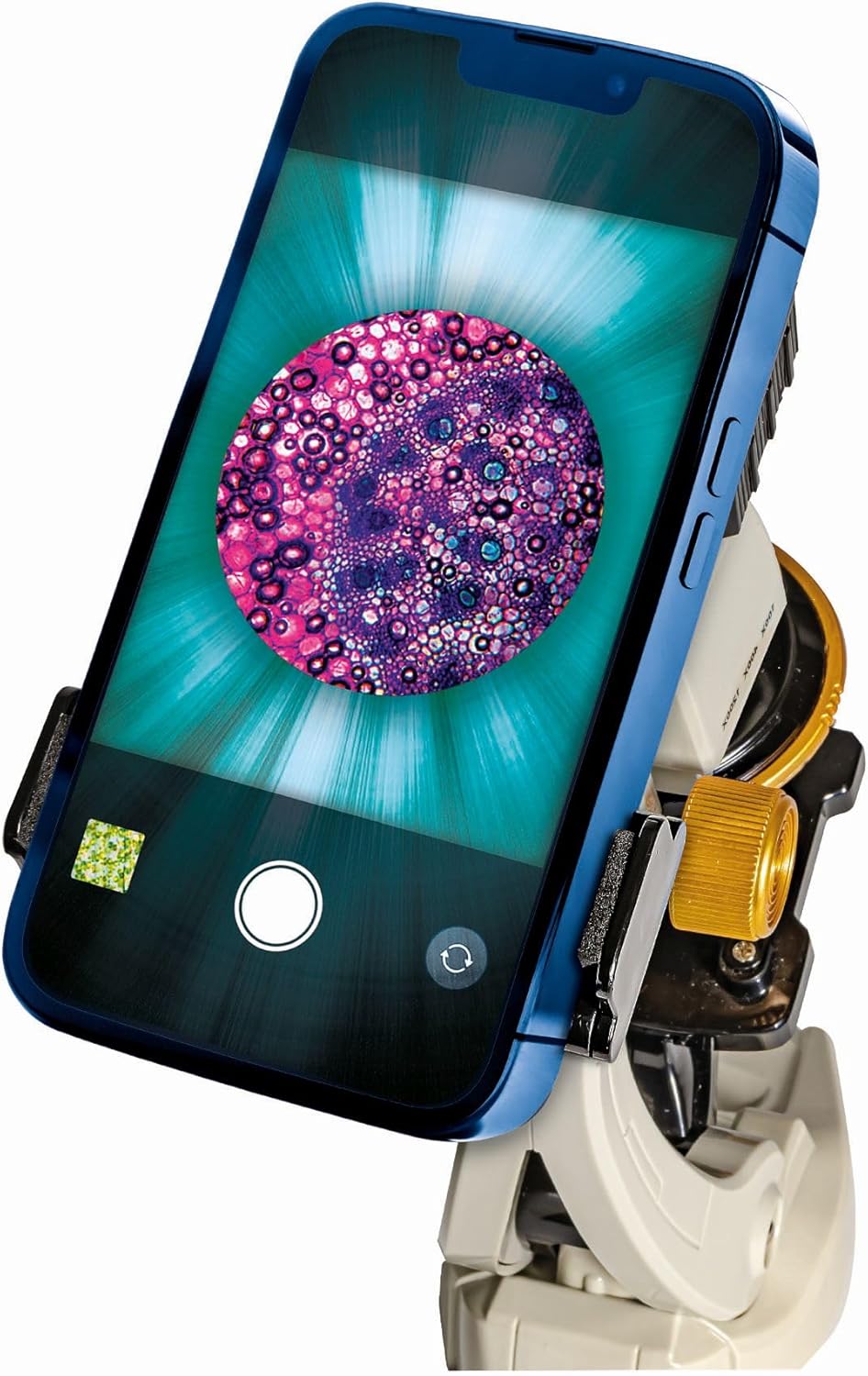 Clementoni Galileo Lab Mein Mikroskop Deluxe - Experimentierkasten mit echtem Mikroskop & Smartphone