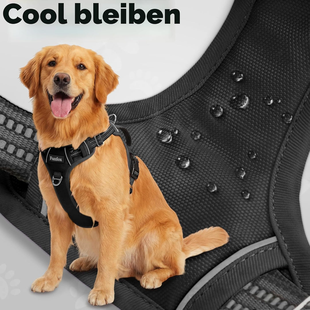 Funfox Hundegeschirr Kleine Hunde No Pull Welpengeschirr Einstellbar Hundegeschirr Anti Zug Sicherhe