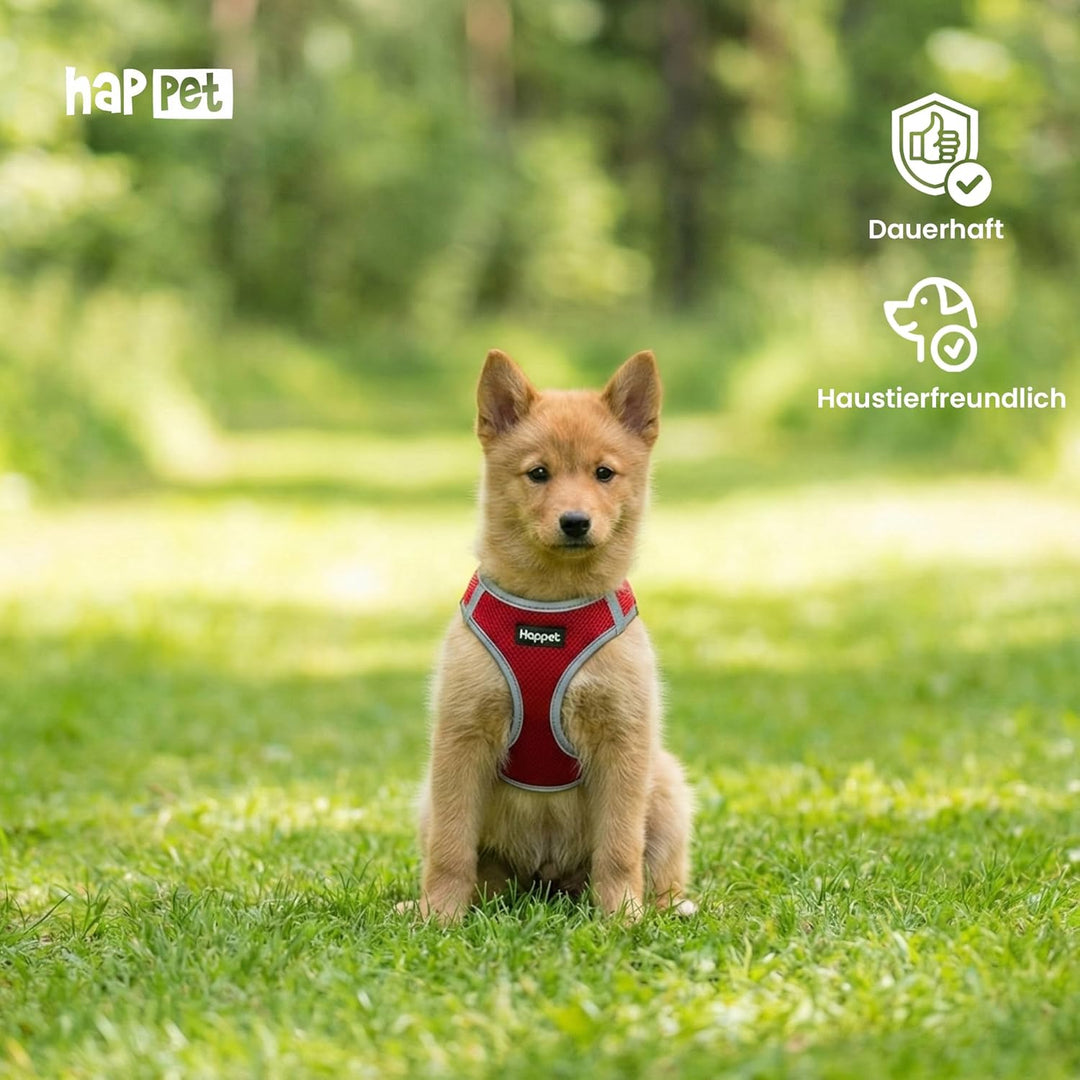 Happet Hundegeschirr M für kleine & mittelgrosse Hunde – atmungsaktives Air-Mesh Brustgeschirr, gepo