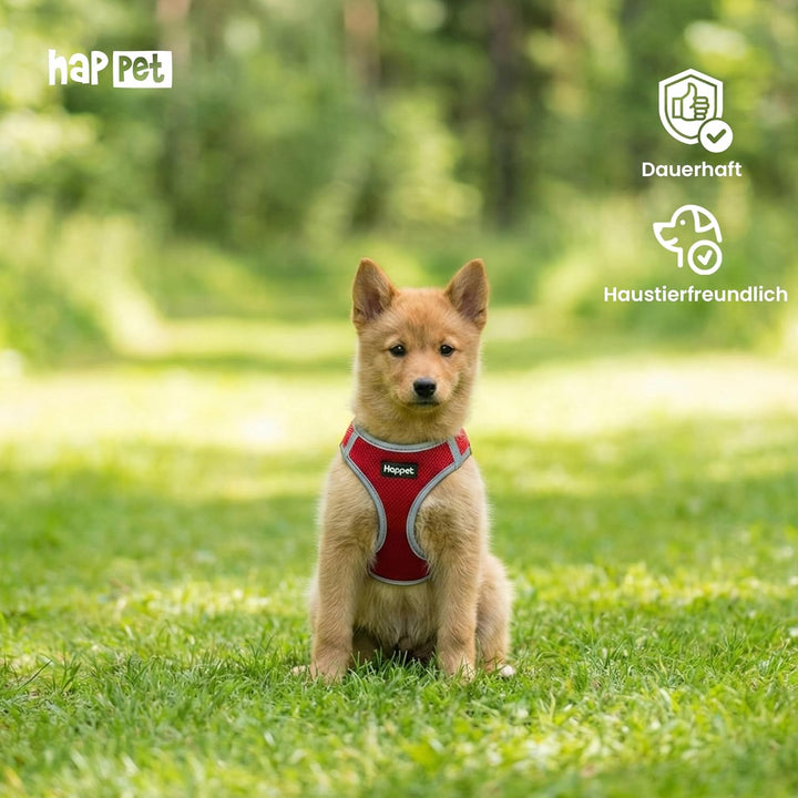 Happet Hundegeschirr M für kleine & mittelgrosse Hunde – atmungsaktives Air-Mesh Brustgeschirr, gepo