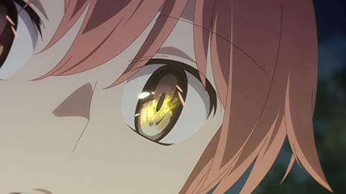 Bloom Into You - Volume 3 (Episode 9-13) im Sammelschuber [Blu-ray], Blu-ray