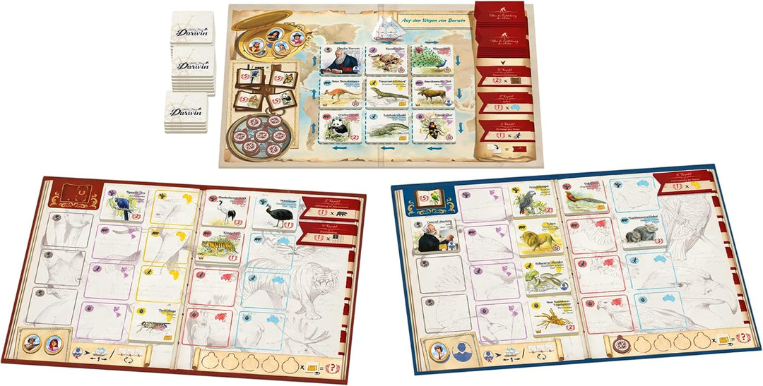 Sorry we are french, Auf den Wegen von Darwin, Familienspiel, nominiert zum Spiel des Jahres 2024, 2