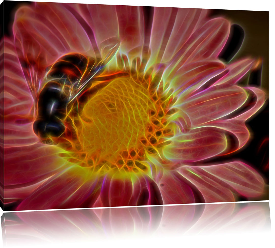 Biene auf Margarete Deluxe Format: 100x70 cm auf Leinwand, XXL riesige Bilder fertig gerahmt mit Kei