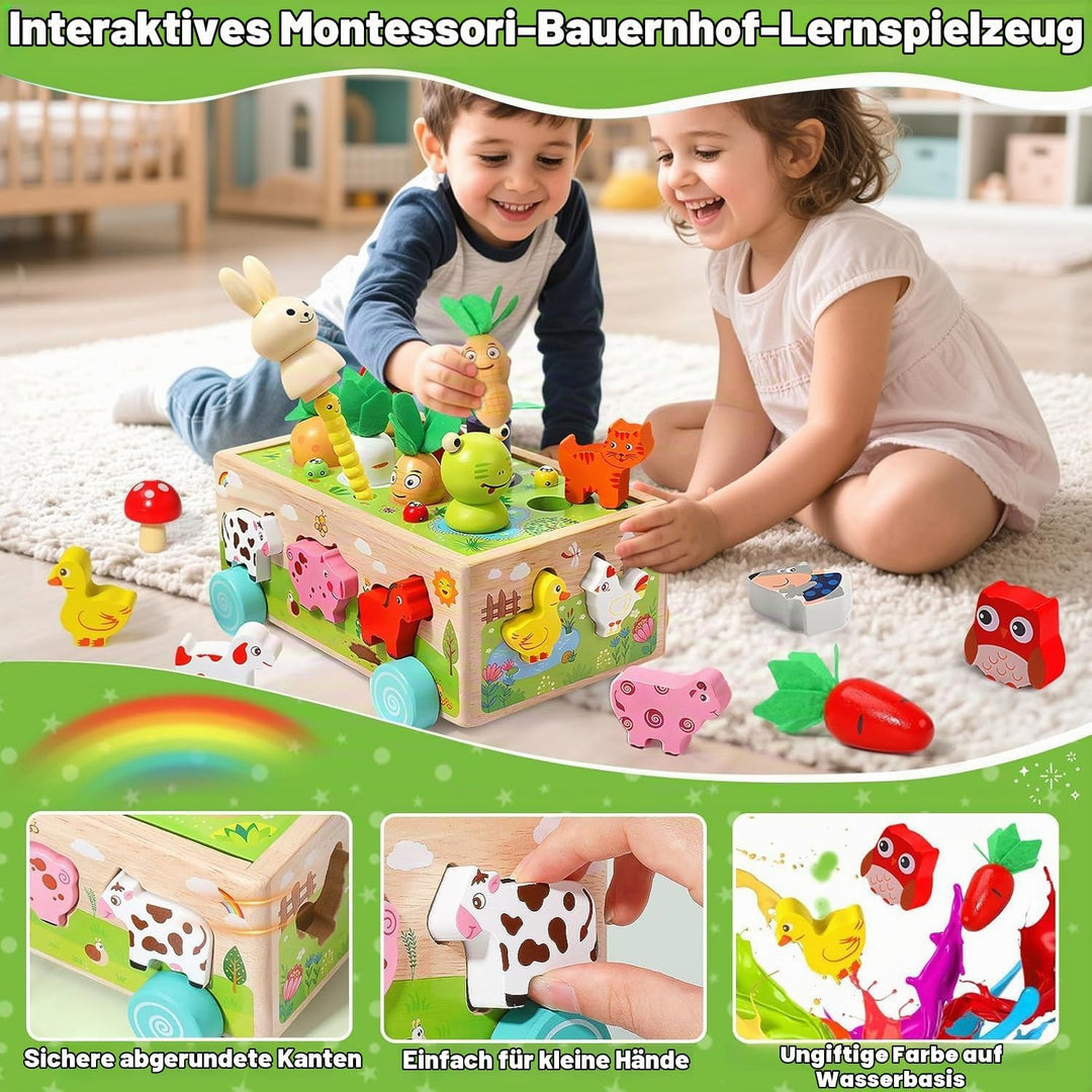 Montessori-Holzspielzeug ab 1 Jahr: Formsortierer Steckspiel &amp; Motorikspielzeug für Jungen &amp; Mädchen