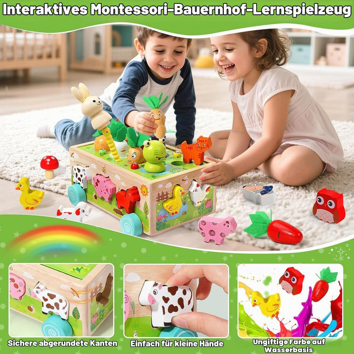 Montessori-Holzspielzeug ab 1 Jahr: Formsortierer Steckspiel &amp; Motorikspielzeug für Jungen &amp; Mädchen