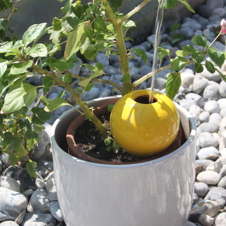Ollas Lutton Mini Olla Terrakotta zum Pflanzen, 25 cl, automatische und umweltfreundliche Bewässerun