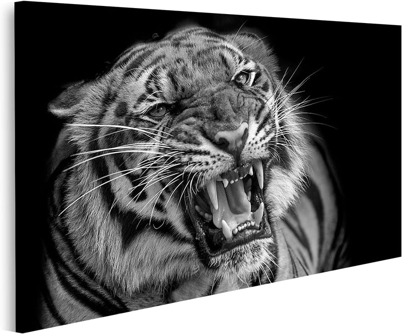 Bild auf Leinwand Sumatra Tiger Roaring Wandbild Poster Kunstdruck Bilder Format: 100x57cm, Format: