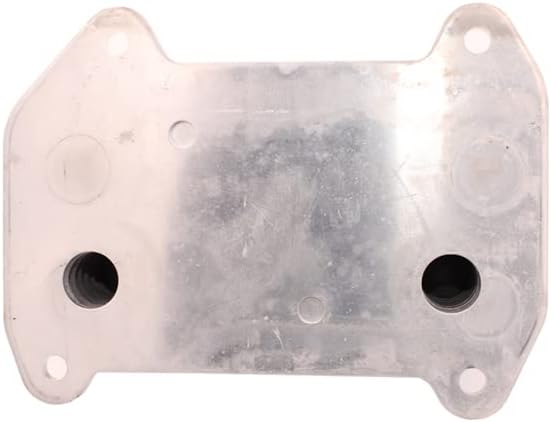 HZTWFC Motorölkühlerkühler 420888852 420250055 Für Sea-Doo Challenger Islandia GTI RXP RXP-X GTS GTX