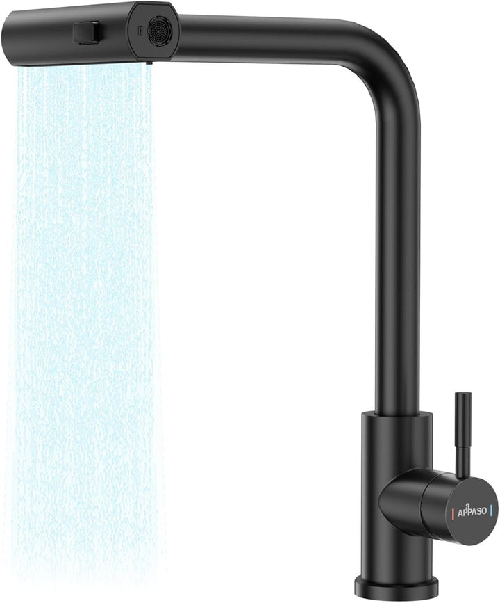 APPASO Wasserhahn Küche, Küchenarmatur mit Brause Ausziehbar für die Küche, Einhebel Ausziehbarer Sp