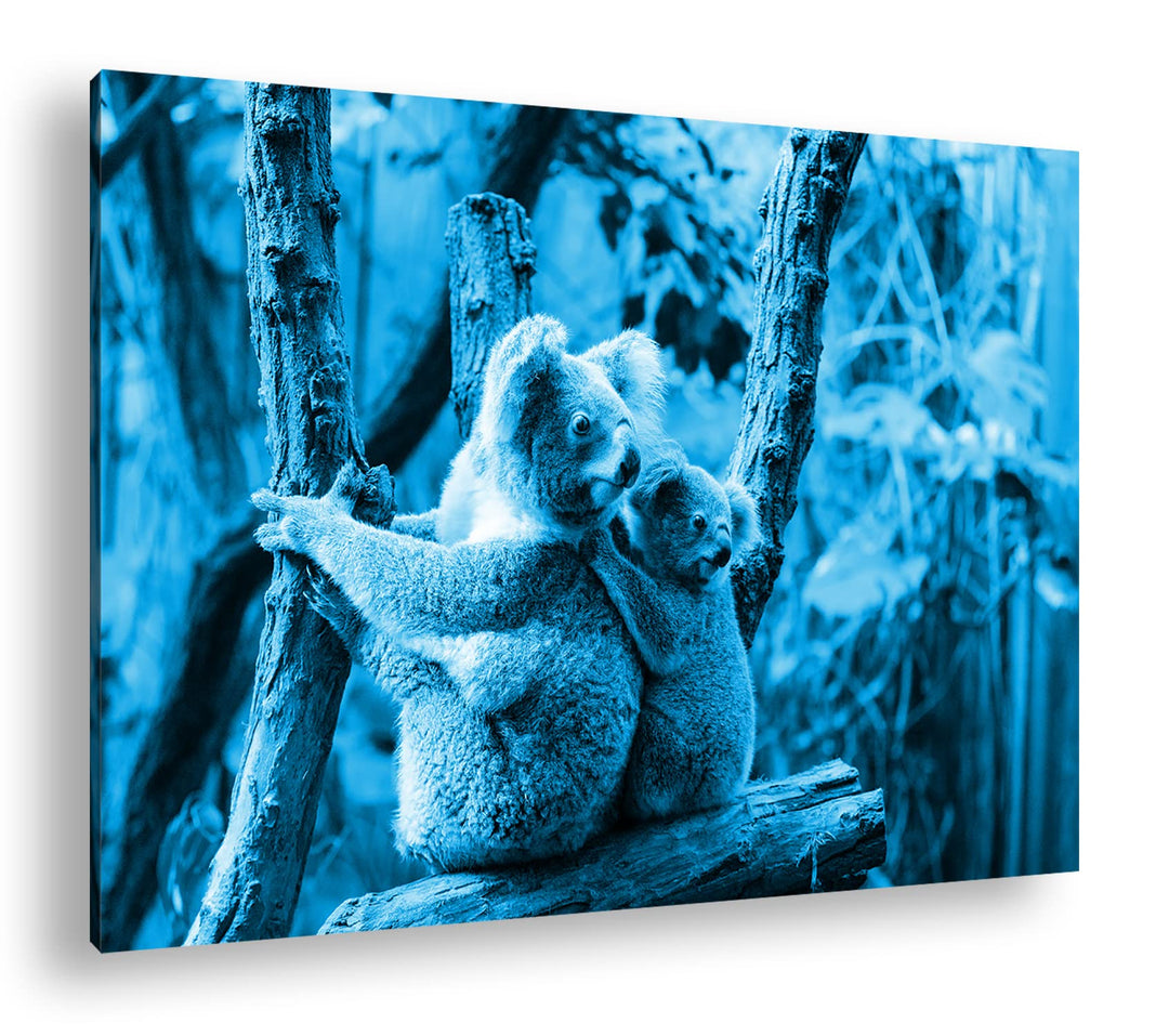 deyoli niedliche Koala Mutter mit ihrem Kind Format 80x60 Effekt: Monocrome Blau als Leinwandbild, M